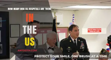 Exploring the Count of Non-VA Hospitals Across the United States