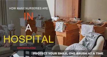 Exploring the Number of Hospital Nurseries: A Deep Dive