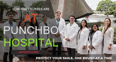 Nurse Staffing at Punchbowl Hospital: How Many?