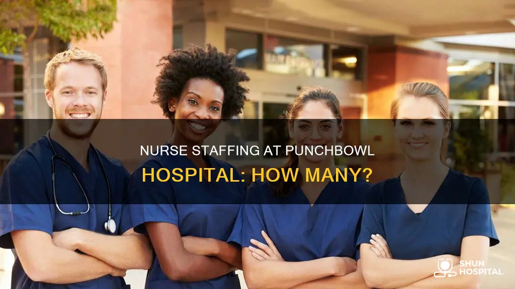 how many nurses are at punchbowl hospital