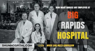Nursing Staff at Big Rapids Hospital: Employment Numbers Revealed