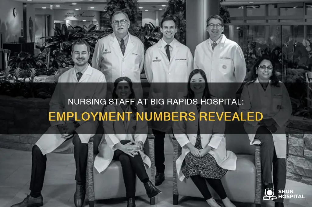 how many nurses are employed at big rapids hospital