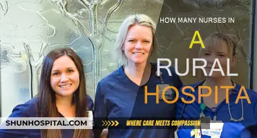 Nurse Staffing in Rural Hospitals: Adequate Numbers?