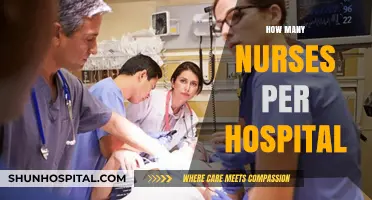 Understanding Nurse-to-Hospital Ratios: Staffing Levels and Patient Care Impact