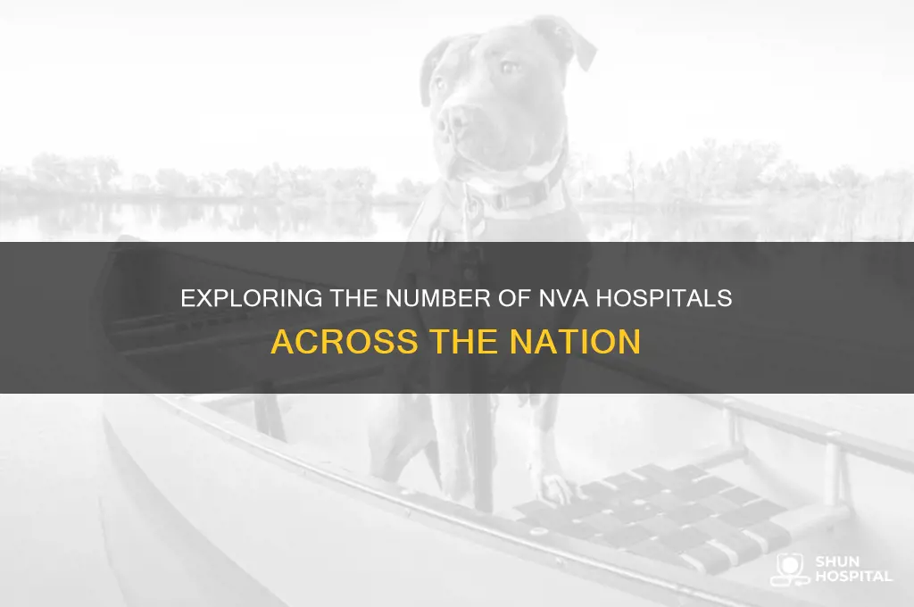 how many nva hospitals
