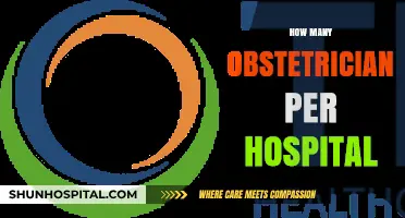 Obstetrician Staffing in Hospitals: Understanding Adequate Care Provider Ratios