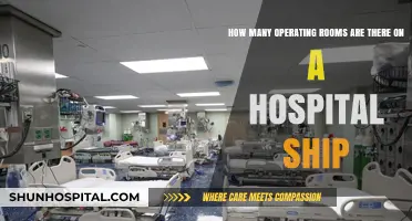 Exploring Hospital Ships: Operating Room Count and Capabilities