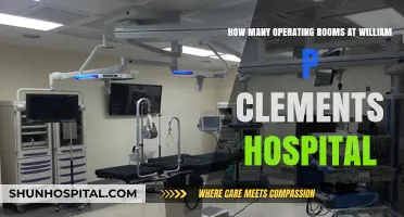 Operating Room Count at William P. Clements Jr. Hospital