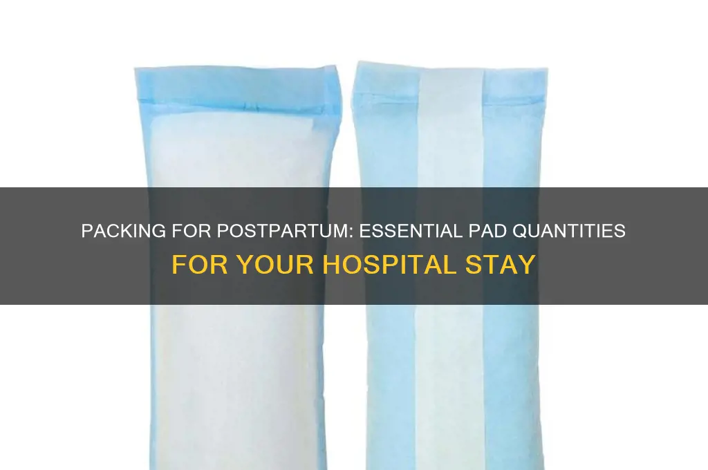 how many pads should i bring to the hospital