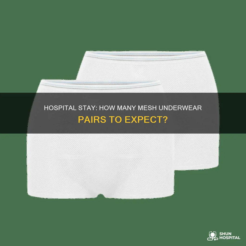how many pairs mesh underwear from hospital