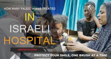 Israeli Hospitals: Treating Palestinians, Saving Lives