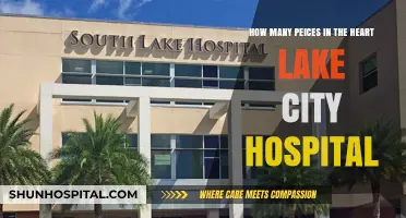 Exploring Heart Lake City Hospital: Total Pieces in Its Construction