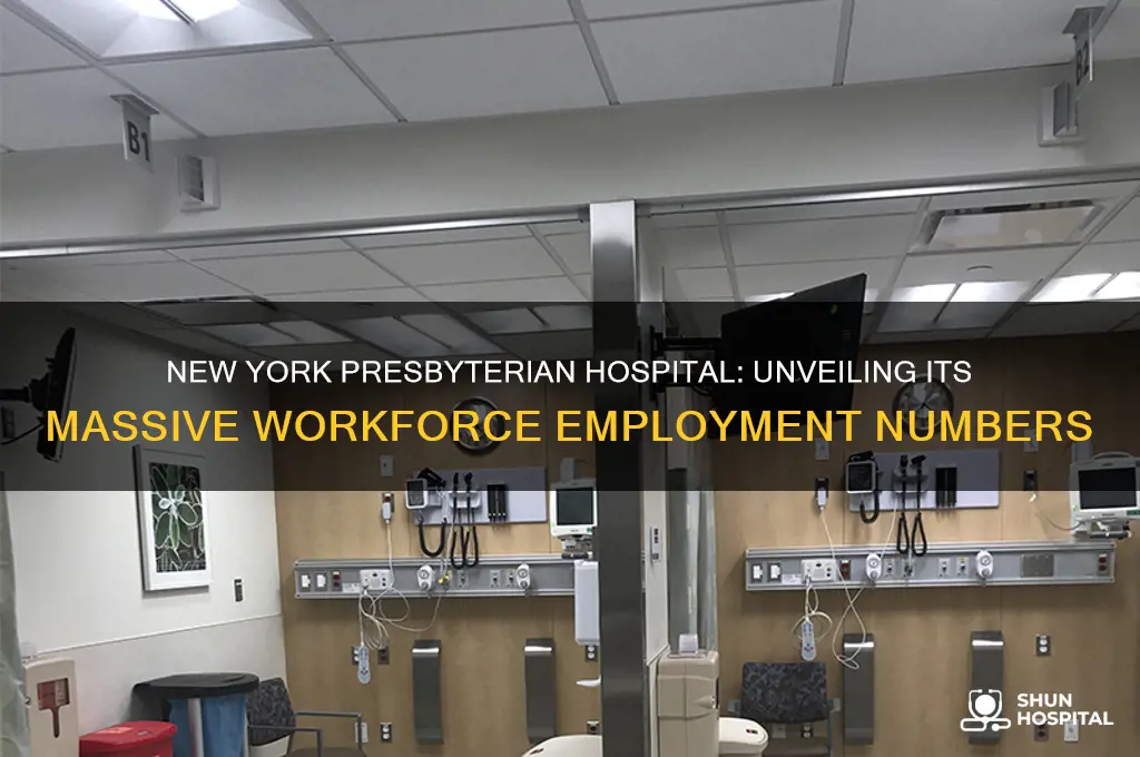 how many people are employed at new york presbyterian hospital
