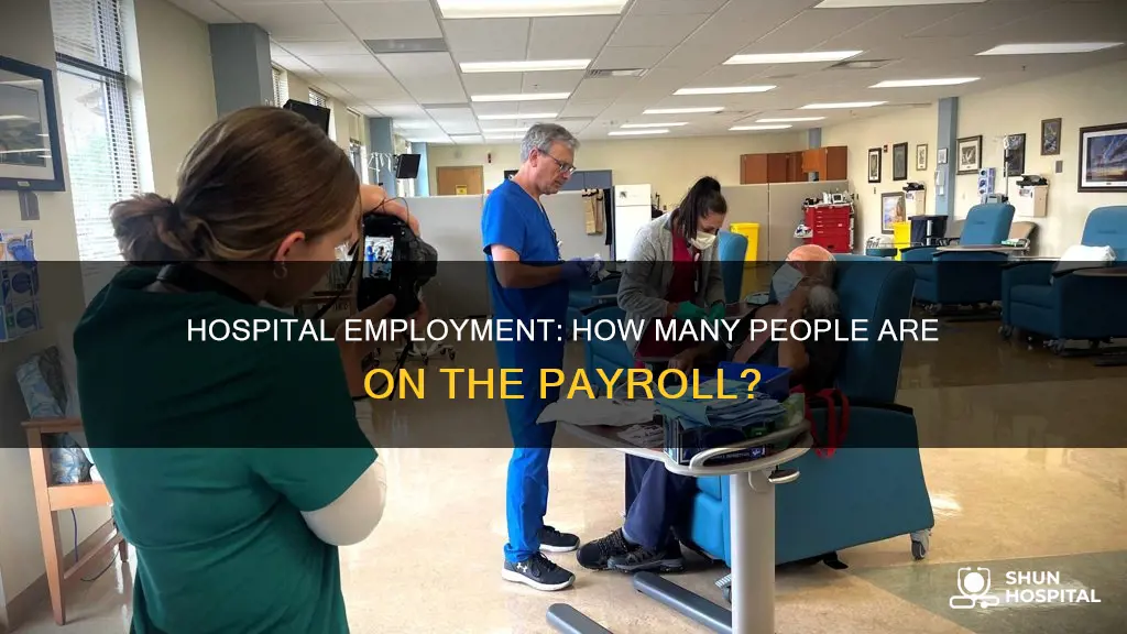 how many people are employed by hospitals