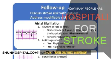 Stroke Victims: Hospitalization Rates and Causes
