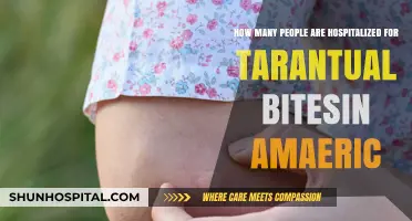 Tarantula Bites in America: Hospitalization Rates and Facts