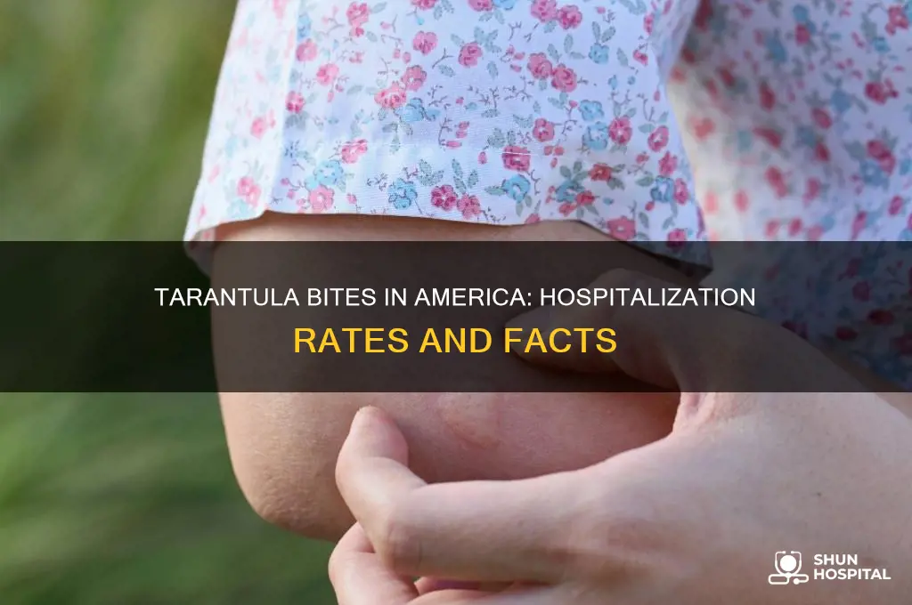 how many people are hospitalized for tarantual bitesin amaeric