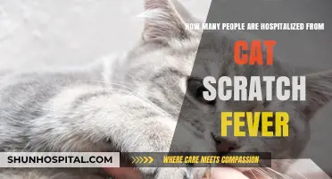 Cat Scratch Fever Hospitalizations: Understanding the Risks and Statistics
