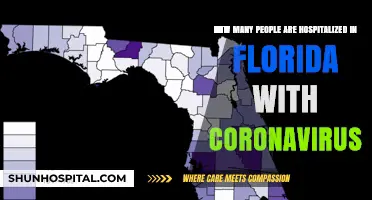 Florida's COVID-19 Hospitalizations: Current Numbers and Trends Revealed