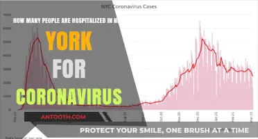 New York's COVID-19 Hospitalizations: Current Numbers and Trends