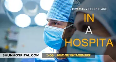 Hospital Staffing: Who's Behind the Scenes?