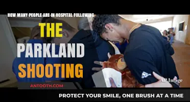 Parkland Shooting Aftermath: Hospitalization Numbers and Recovery Efforts