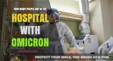 Omicron Hospitalizations: Tracking Patient Numbers Amid the Latest Surge