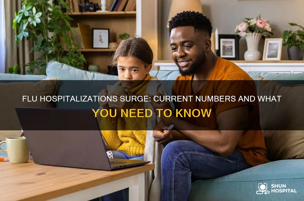 how many people are in the hospital with the flu