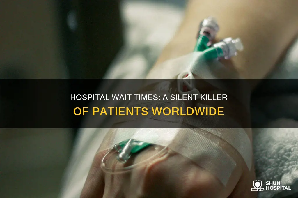 how many people die because of hospital wait times