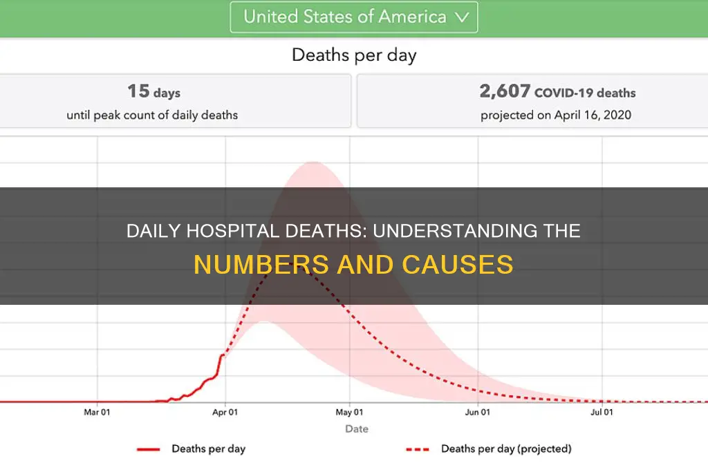 how many people die in a day in hospitals