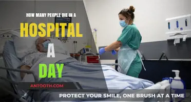 Daily Hospital Deaths: Understanding the Numbers and Trends