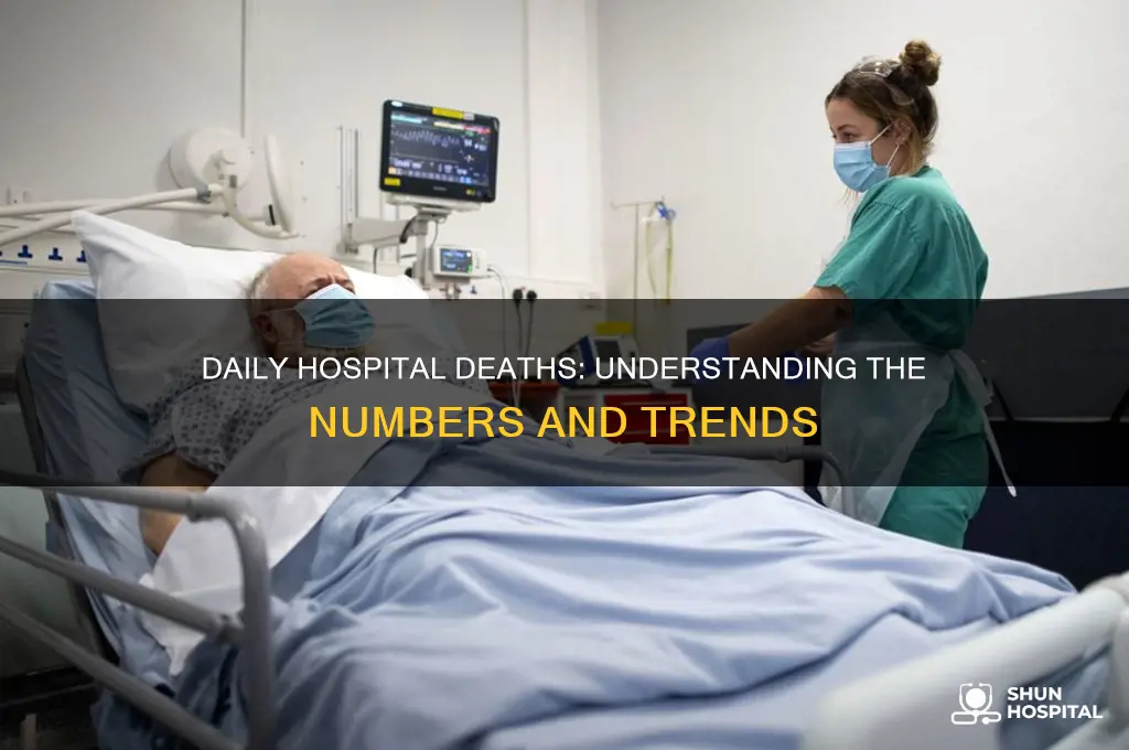 how many people die in a hospital a day