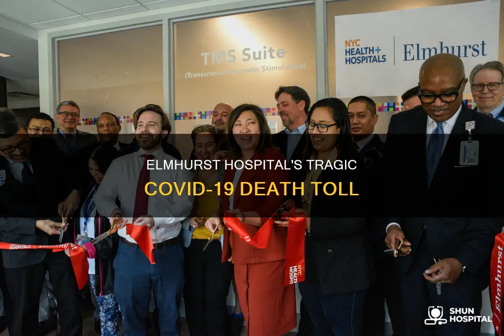 how many people died at elmhurst hospital