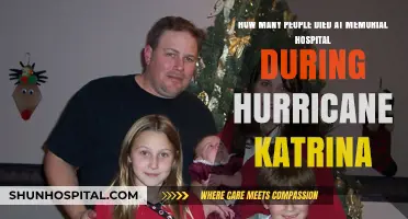 Hurricane Katrina's Toll: Memorial Hospital's Tragic Loss of Life