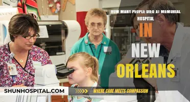 Memorial Hospital Tragedy: Uncovering the Death Toll in New Orleans