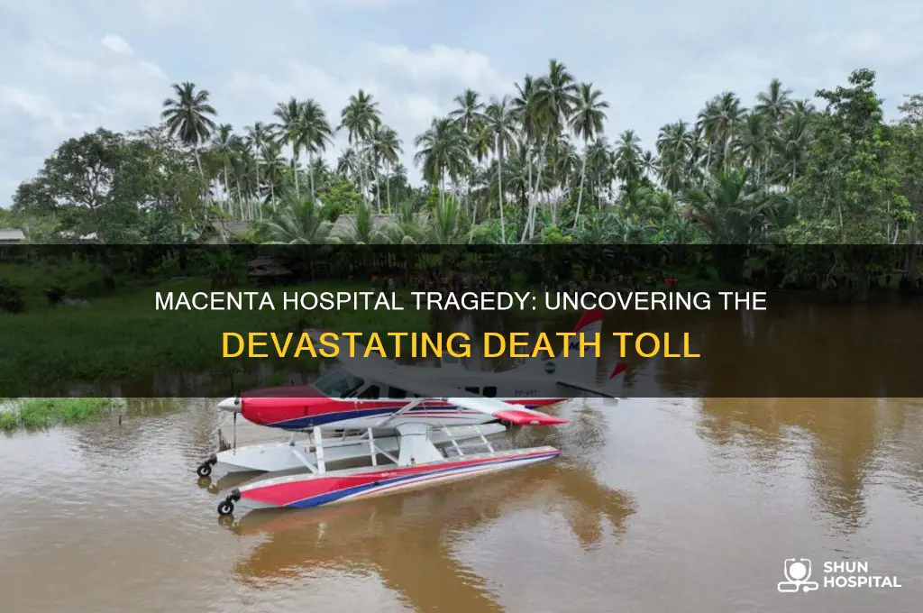 how many people died at the hospital in macenta
