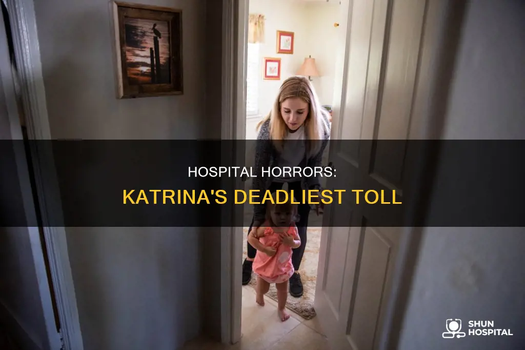 how many people died during katrina hospital