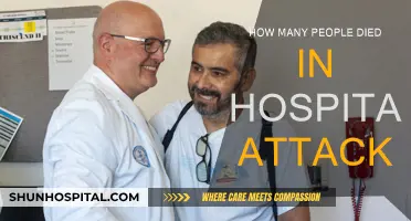 Fatal Hospital Attacks: Counting the Human Cost