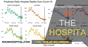 Hospital Deaths: Counting the Cost of Care