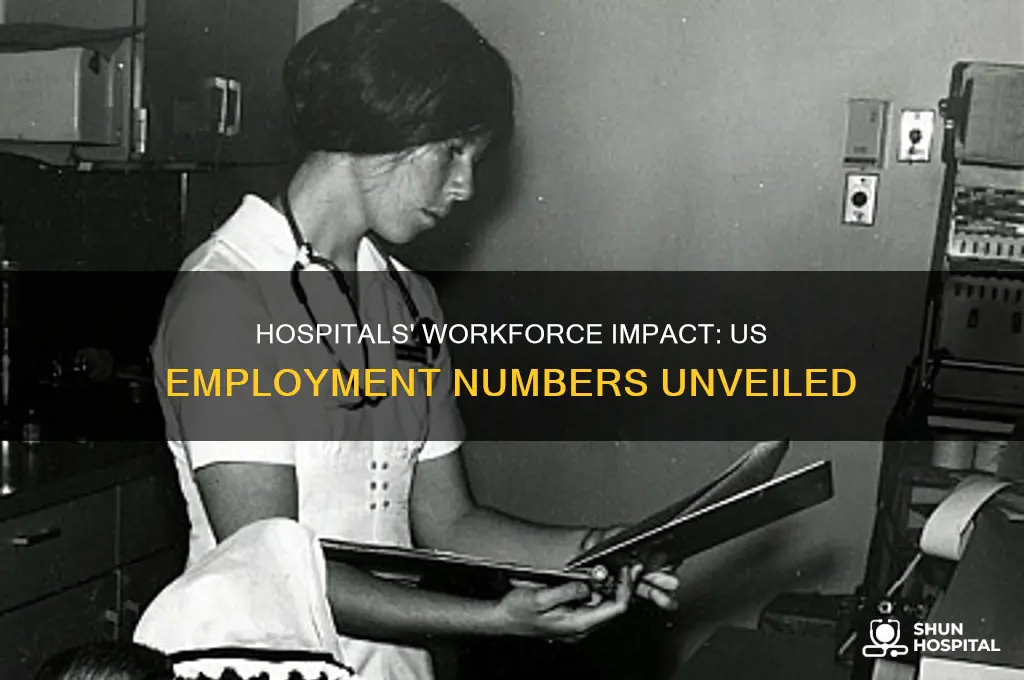 how many people do hospitals employ in the us