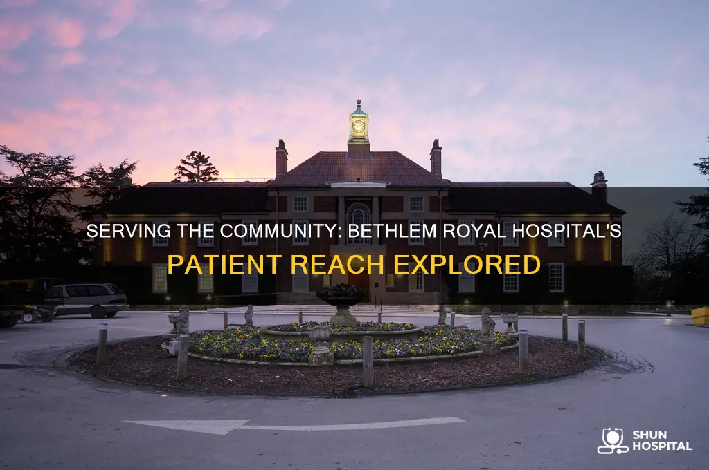 how many people does the bethlem royal hospital serve