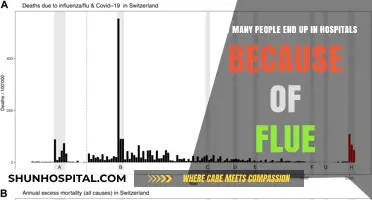 Flu Hospitalizations: Understanding the Impact on Public Health