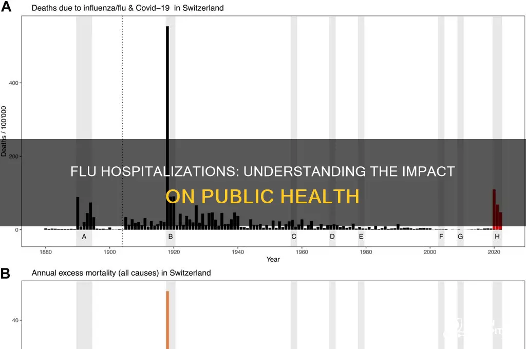 how many people end up in hospitals because of flue