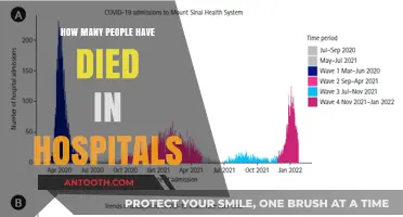 Hospital Deaths: Counting the Cost of Care