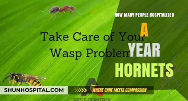 Deadly Hornets: Annual Hospitalizations and Rising Concerns