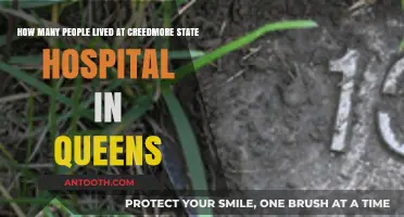 Creedmore State Hospital: Uncovering the Population of Queens' Historic Asylum