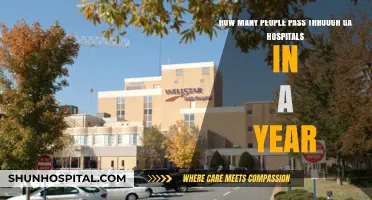 Annual Patient Traffic: Georgia Hospitals' Yearly Visitor and Admission Counts