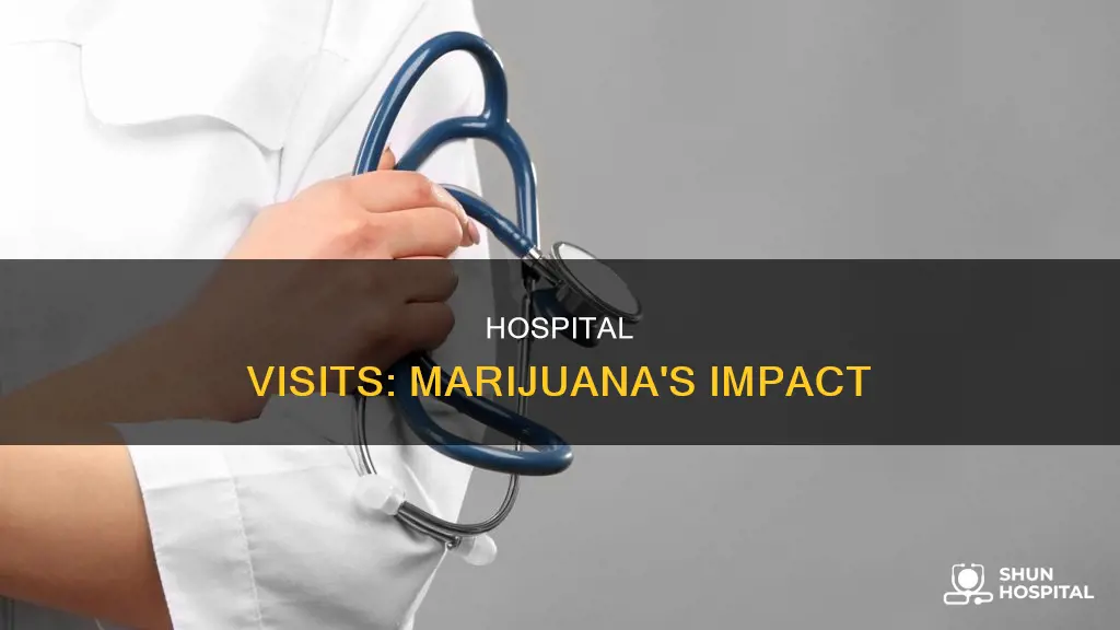 how many people visit hospital over maruagine