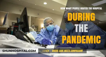 Pandemic Hospital Visits: Analyzing Patient Footfall During COVID-19 Crisis