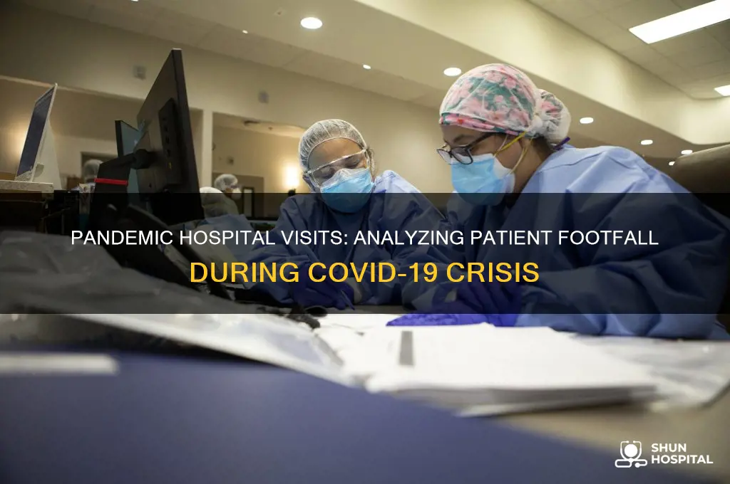 how many people visited the hospital during the pandemic